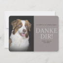 Search for australian shepherds cards Puppies