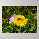 Search for photgraphy posters Flower
