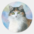 Search for tortoise shell cat Tortie
