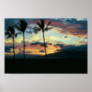 Search for hawaiian sunset posters Trees