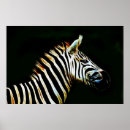 Search for white zebra posters Black and white