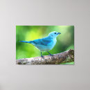 Search for blue grey canvas prints Green