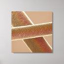 Search for microscope art Microscopic