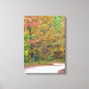Search for road canvas prints Tree