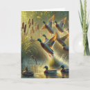 Search for mallards cards Pond