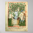 Search for viticulture posters School