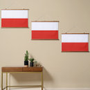 Search for flag poland posters White