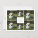 Search for grid postcards Photography