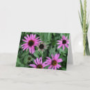 Search for horticulture cards Nature