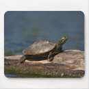 Search for painted turtle mousepads Nature