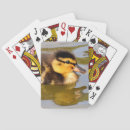 Search for duck playing cards Swimming