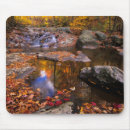Search for shenandoah mousepads Fall