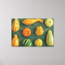 Search for gourd canvas prints Squash