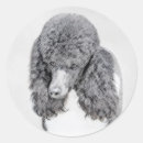 Search for black poodle stickers Puppy