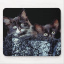 Search for bucket mousepads Horizontal
