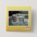 Search for never again badges I can has cheezburger