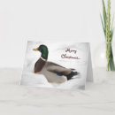 Search for mallard duck christmas cards Mallards