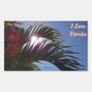 Search for florida palm trees stickers Sun