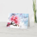 Search for japanese sakura cards Pink