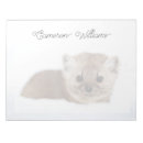 Search for pine marten Animal