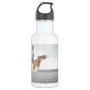 Search for fly water bottles White