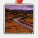 Search for wind christmas tree decorations Nature