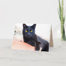 Search for pet halloween cards Feline
