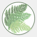 Search for mosses stickers Moss green