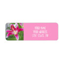 Search for stargazer lily return address labels Lilies