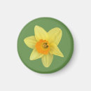 Search for spring daffodils magnets Yellow