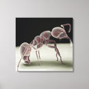 Search for side view canvas prints Animal