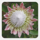 Search for big flower stickers Garden