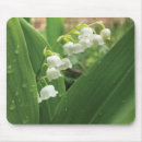 Search for lily mousepads Green