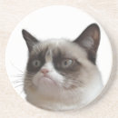Search for glaring Grumpy