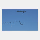 Search for canadian geese stickers Birds