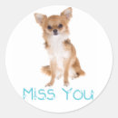 Search for chiwawa stickers Puppies