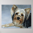 Search for yorkshire terrier art Canine
