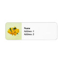 Search for babys breath return address labels Flowers