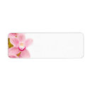 Search for orchids return address labels Blossom