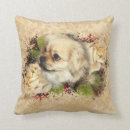 Search for tibetan spaniel Animal