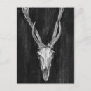 Search for skull postcards Deer