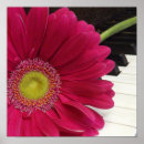 Search for gerbers posters Pink