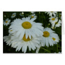 Search for summer rain cards Flower