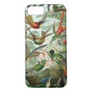 Search for ernst haeckel iphone cases Animals