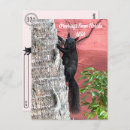 Search for postcrossing postcards Nature