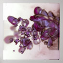 Search for molecular posters Abstract