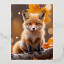 Search for love foxes postcards Wildlife
