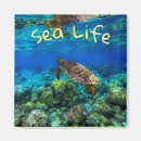 Search for undersea magnets Coral