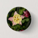 Search for star shape badges For her