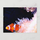 Search for clownfish postcards Aquatic